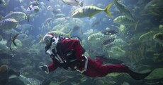 Today’s top stories in 6 seconds