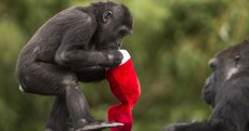 Today’s top stories in 6 seconds
