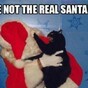 14 pets who are just SO done with Christmas