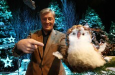 Pat Kenny has explained why he doesn't miss the Toy Show