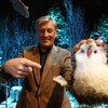 Pat Kenny has explained why he doesn't miss the Toy Show