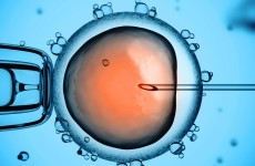 New UK rules could allow embryos to be created from three people
