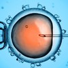 New UK rules could allow embryos to be created from three people