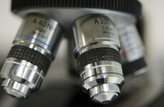 Stereotypes could be holding students back from embracing STEM courses