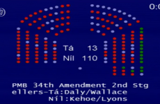 13 Labour TDs missed the Dáil vote on abortion last night