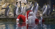 Today’s top stories in 6 seconds
