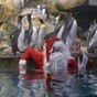 Today’s top stories in 6 seconds