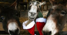 Today's top stories in 6 seconds