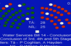 Amid claims of drunkenness, the Seanad has voted to pass the Water Services Bill