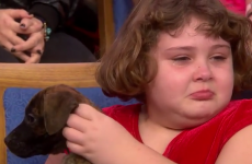 This little girl's reaction to getting a puppy will make you weep