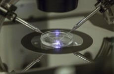 The Rotunda's fertility clinic has been sold off to an Australian company