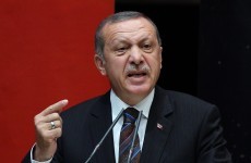 A 16-year-old schoolboy was arrested in Turkey for insulting the country's president