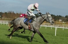 6 great races you don’t want to miss at the Christmas festivals on Saturday