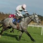 6 great races you don’t want to miss at the Christmas festivals on Saturday