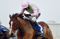 He's a machine! Faugheen nearly unbackable for Cheltenham after Kempton demolition