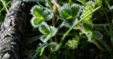 There was ice everywhere this morning - and it's going to get colder again tonight