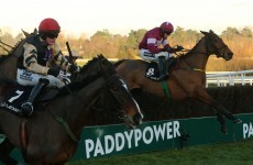 Cooper's day at Leopardstown as Road To Riches wins Lexus Chase