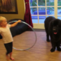 This little girl struggling to make her dog hula-hoop is utterly adorable
