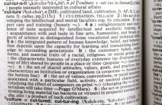 Language group names 'swag', 'bae' and 'curated' as words to be banished in 2015
