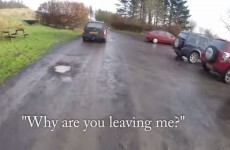Vet is 'abandoned' to raise awareness about dumped dogs