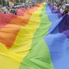 NI's future health minister: gay pride parade participants 'repugnant'