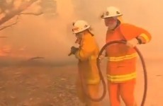 Dozens of homes feared destroyed by raging fires in South Australia