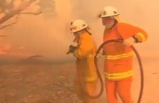 Dozens of homes feared destroyed by raging fires in South Australia