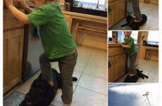 Here's Sarah Palin's response to criticism over pics of her son standing on their dog