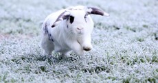 Watch your step: Icy paths and roads after freezing overnight temperatures