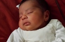 Newborn baby girl taken from her home after a shooting found dead in a bin