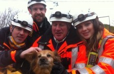 Photos: Coast Guard rescues a dog trapped at Howth cliff