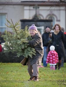 Pics: Winner of Ireland's Christmas Tree Throwing Championship revealed