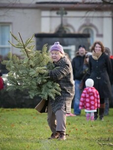 Pics: Winner of Ireland's Christmas Tree Throwing Championship revealed