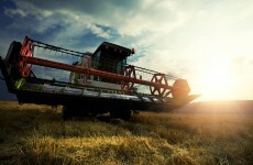 Farmers claim farm deaths are 'due to all kinds of human error and animal unpredictability'