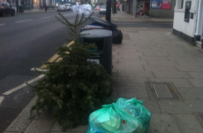 9 photos that sum up the tragedy of Christmas trees