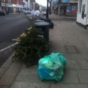 9 photos that sum up the tragedy of Christmas trees