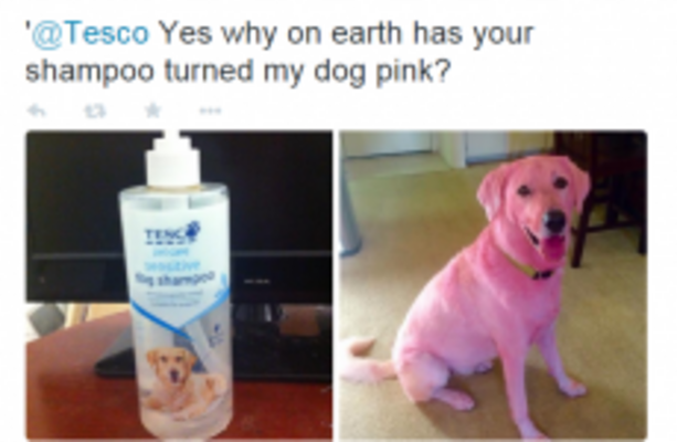 Tesco dog shampoo on sale pink