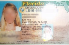 Woman's new driving license claims she lives in 'Eat Ass'