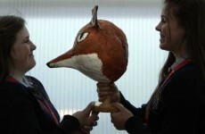 Here are five projects worth catching as BT's Young Scientist awards get underway