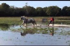 Horse-powered wakeboarding is the most fun you can have in a waterlogged field