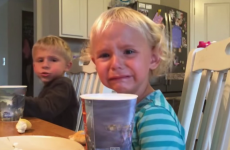 Crying toddler gets a life lesson from her big brother