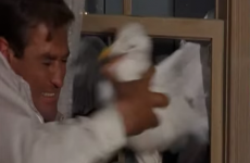 Rod Taylor, star of The Birds, dies aged 84