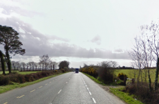 Elderly man killed in Wexford hit and run