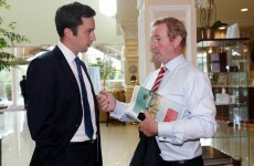 Most Fine Gael TDs want to loosen the whip, but one junior minister isn't so sure