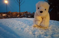 The 7 very different reactions to the arrival of snow in Ireland today