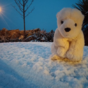 The 7 very different reactions to the arrival of snow in Ireland today