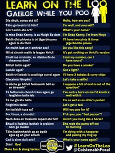 "Lastóir agat?" New sticker campaign hopes to help you learn (rude) Irish on the loo