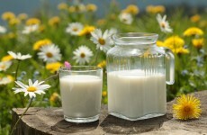 Put down that glass of raw milk, say Ireland's food safety experts