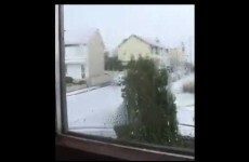 "It's only snow Alan!" Sligo lad's hilarious reaction to the snow is going viral