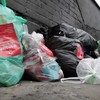 Dublin City Council denies suggestion it is "wholesale" removing litter bins